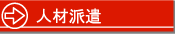 �l�ޔh��